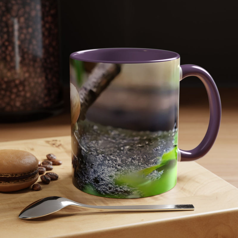Hübsche Hausschnecken-Kaffeetasse