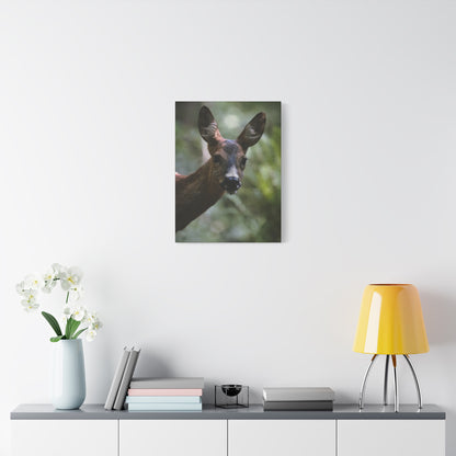 Deer Portrait Matte Canvas Print — Stretched Wall Art for Nature Lovers
