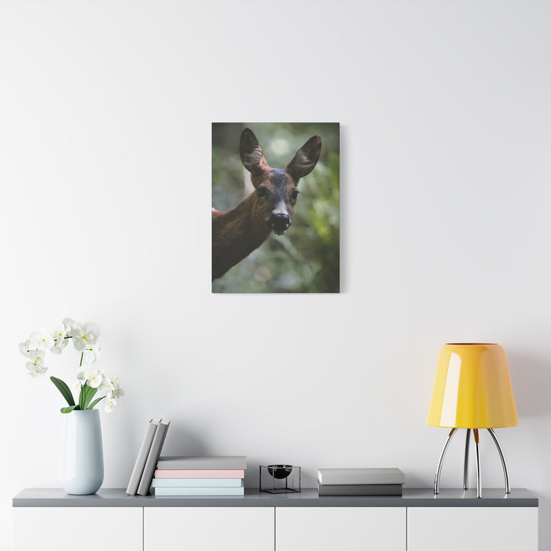 Premium 18″ x 24″ | 45.72 cm x 60.96 cm textured wildlife canvas print on a modern 1.25″ | 3.18 cm wood gallery inner frame.