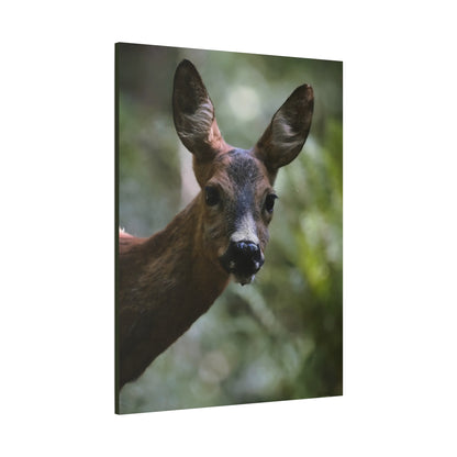 Deer Portrait Matte Canvas Print — Stretched Wall Art for Nature Lovers