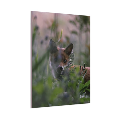 Vos in het wild, matte canvasprint — Natuur muurdecoratie, gespannen op een frame van 3,17 cm (1,25 inch)