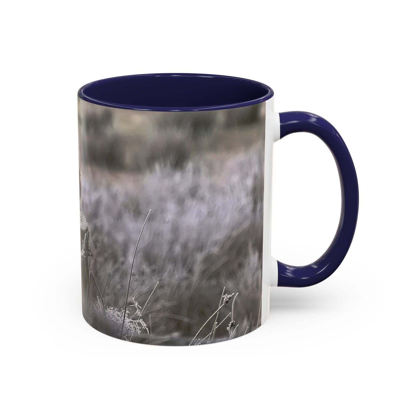 Rustic Robin Accent Coffee Mug — Nature Bird Photography